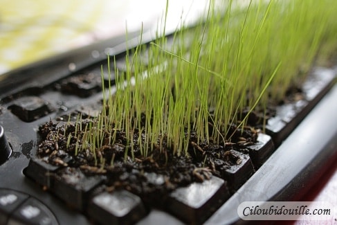 Ex0027 Le numérique face à l'écologie politique