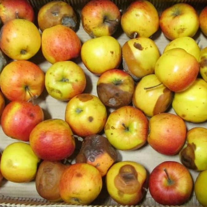 Ex0054 Bugs, failles et trous de sécurité