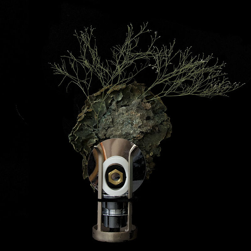 Ex0154 Entre vivant et artificiel