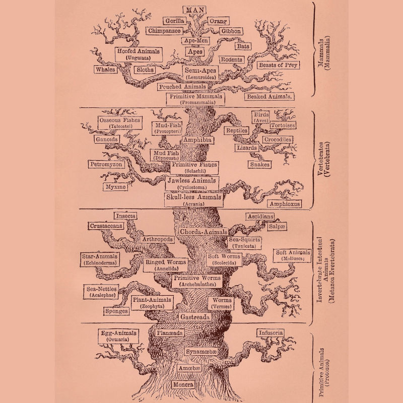 Ex0166 Design graphique dans les pratiques de la science